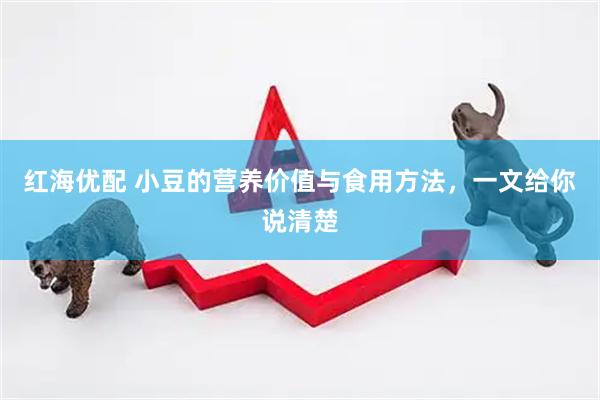 红海优配 小豆的营养价值与食用方法，一文给你说清楚