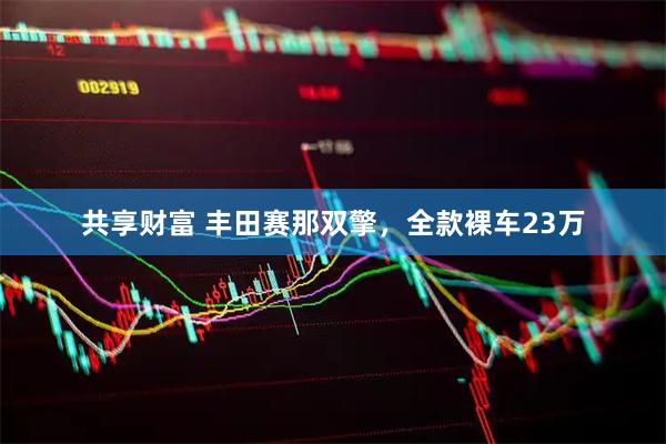 共享财富 丰田赛那双擎，全款裸车23万